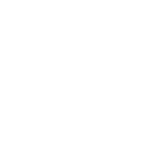 AI Studio